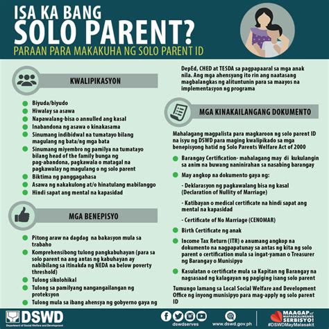 BIR grants tax perks to solo parents .